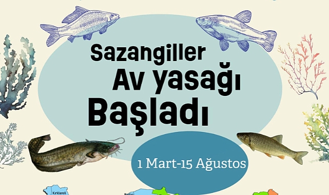 Sazangiller av yasağı başladı!