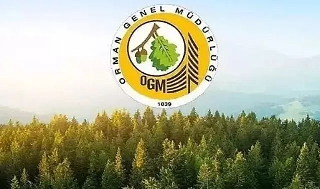 Tarım ve Orman Bakanlığı Orman Genel Müdürlüğü 81 ilde 4500 personel alımı yapacak!