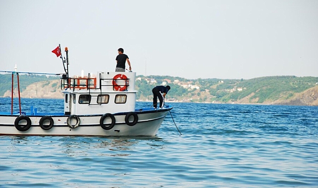 Alamana avcılığına yönelik zaman yasağı kaldırıldı