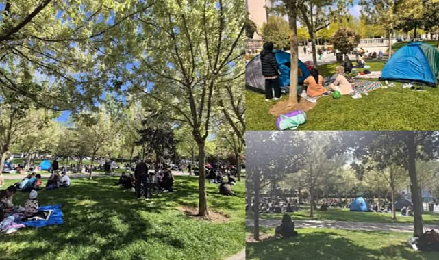 Av. Güneş Pehlivan; "Gezi Parkı mücadelesi bugün insanlara nefes oldu"