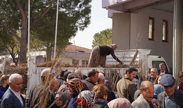 Çan Belediyesi’nden vatandaşlara 10 bin meyve fidanı