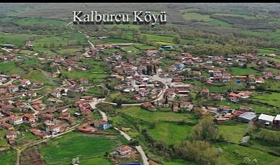 Çan’da Şap Hastalığı Alarmı: Kalburcu Köyü karantinaya alındı