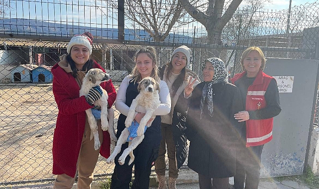 Çanakkale'de Mart ayında 25 kedi ve 59 köpek yeni yuvalarına kavuştu