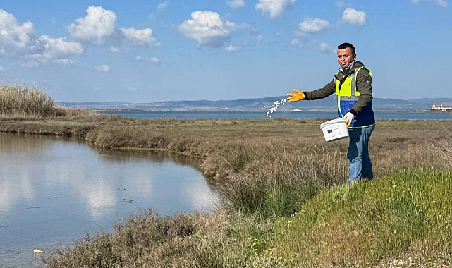 Çardak'ta su birikintilerinde ilaçlama çalışması