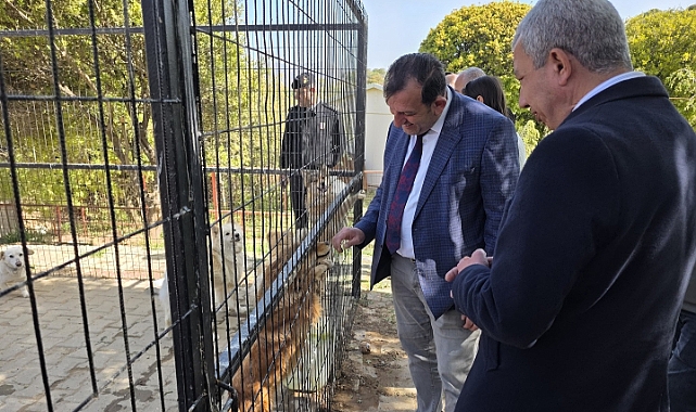 Gökçeada Belediyesi Hayvan Bakımevi'ne ilk ruhsat verildi