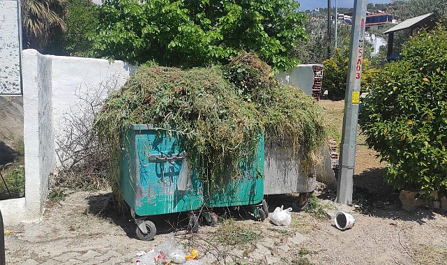 Küçükkuyu Belediyesi'nden çevre temizliği uyarısı