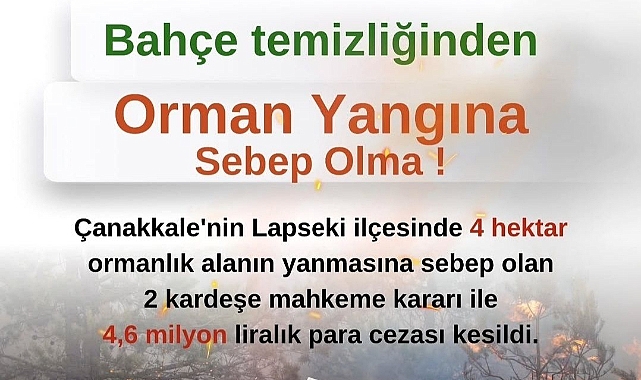 Lapseki'de bahçe temizliği yaparken 4 hektar ormanlık alanı yakan 2 kardeşe ceza