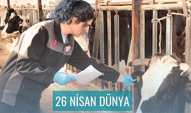 Müdür Ergün Demirhan’dan Dünya Veteriner Hekimler Günü mesajı