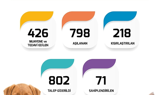 Çanakkale Belediyesi Veteriner İşleri Müdürlüğü Nisan ayı çalışma raporu
