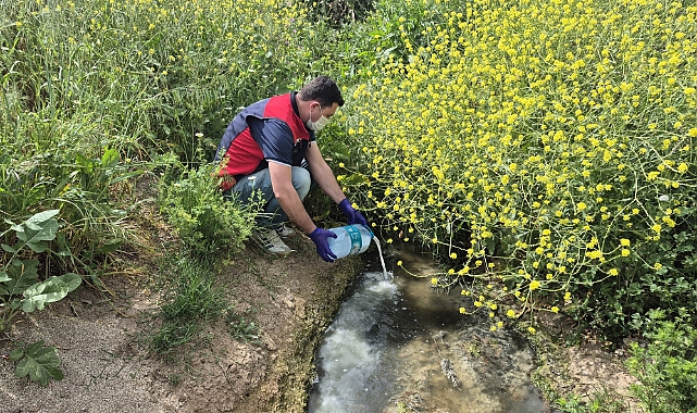Çanakkale'de çeltik alanlarında sivrisinek mücadelesi