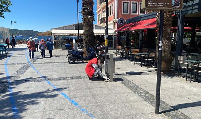 Çanakkale'de Haşerelere Karşı Mücadele: Hamamböceklerine Ölüm