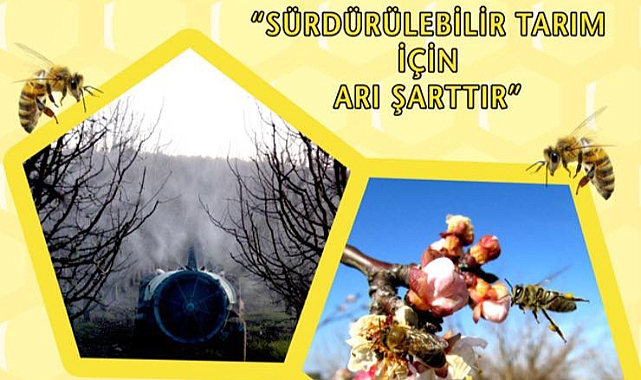 Çanakkale İl Tarım Müdürlüğü’nden üreticilere arı dostu ilaçlama uyarısı