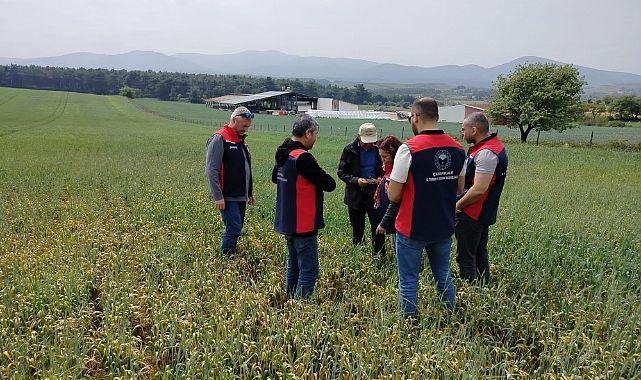 Cuma buluşmalarında üreticilerle sahada birebir görüşmeler devam ediyor