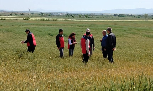 Gelibolu ve Eceabat'ta ekili alanlarda detaylı saha çalışması yapıldı
