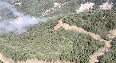 Gökçeada'da çıkan orman yangını kontrol altına alındı