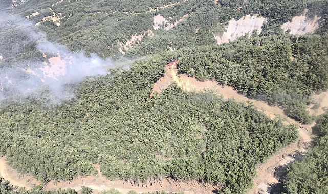 Gökçeada'da çıkan orman yangını kontrol altına alındı