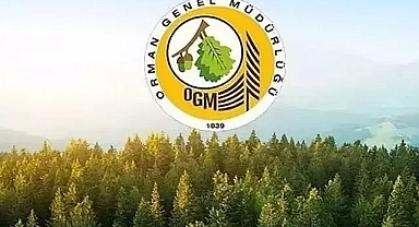 Orman Genel Müdürlüğü 105 sözleşmeli personel alımı başvuruları başladı!