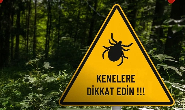 Yenice İlçe Tarım ve Orman Müdürlüğü'nden kene uyarısı