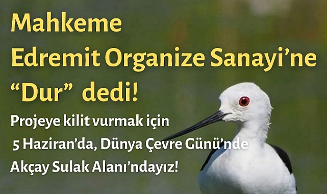Akçay Sulak Alanı’nda Sera OSB’ye Mahkemeden “Dur” Kararı
