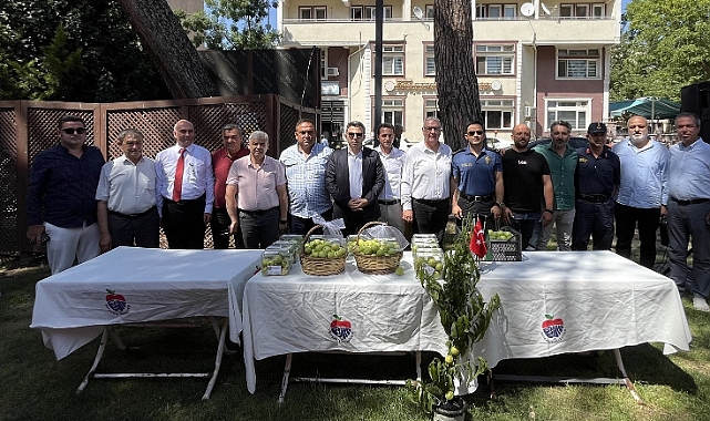 Bayramiç Beyazı ilk hasat müzayedesi gerçekleştirildi