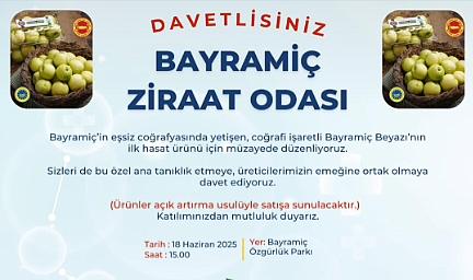 Bayramiç Beyazı’nın ilk hasadı müzayede ile taçlanıyor
