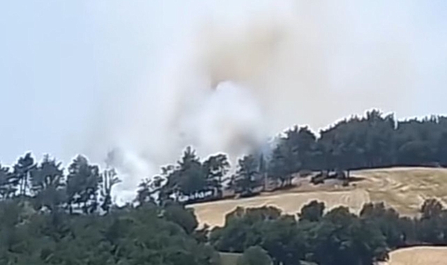 Çan'da orman yangını