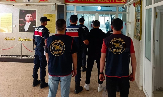 Çanakkale’de 14 günde 11 orman yangını! 6 kişi hakkında adli işlem başlatıldı