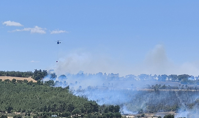 Çanakkale'de iki ayrı noktada yangın çıktı