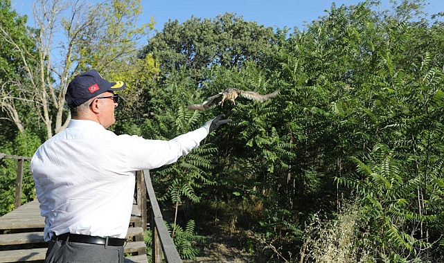 Çanakkale'de tedavileri tamamlanan yaban hayvanları doğaya salındı