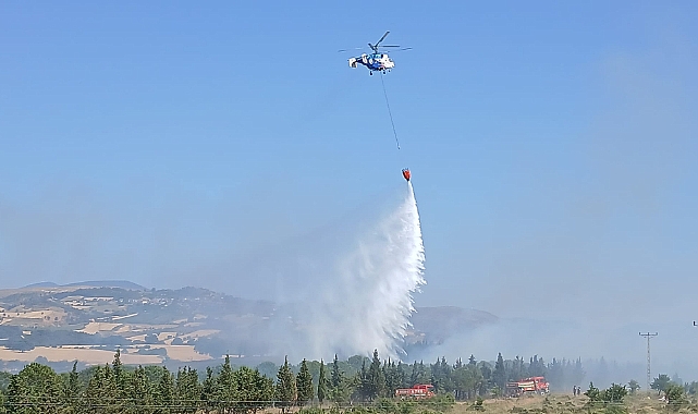 Çanakkale Özbek'te Tarım Arazisinde Başlayan Yangın Ormana Sıçradı