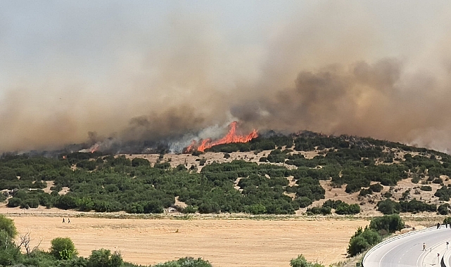 Çanakkale Valiliği'nden Ezine yangını açıklaması