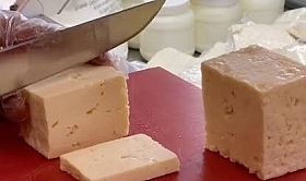 ÇOMÜ’den Peynircilik Atağı: Peynircilik Araştırma Merkezi Kuruldu!