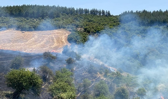 Gelibolu Fındıklı Köyü'nde yangın