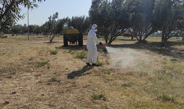 Kepez Halk Plajı’nda kene ve pire ilaçlaması yapıldı