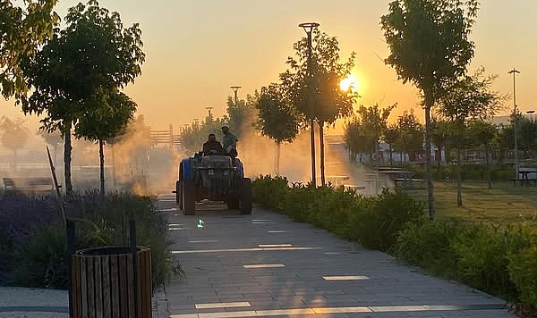 Lapseki Belediyesi’nden haşere ve zararlılara karşı etkin mücadele