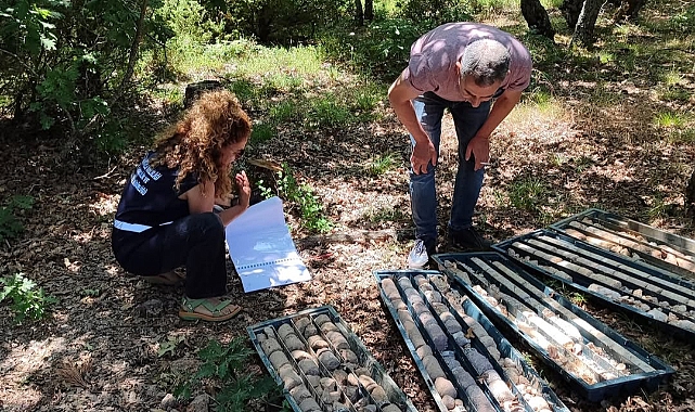 Lapseki Yaylalar Köyü'nde RES Projesi Kapsamında Jeolojik Etüt Çalışması