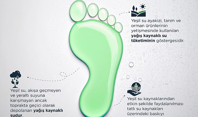 Tarımda Sürdürülebilirlik İçin Yeşil Su Ayak İzi Önem Kazanıyor