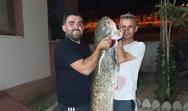 30 Kiloluk Dev Yakalandı! Dev Yayın Balığı Yakalandı