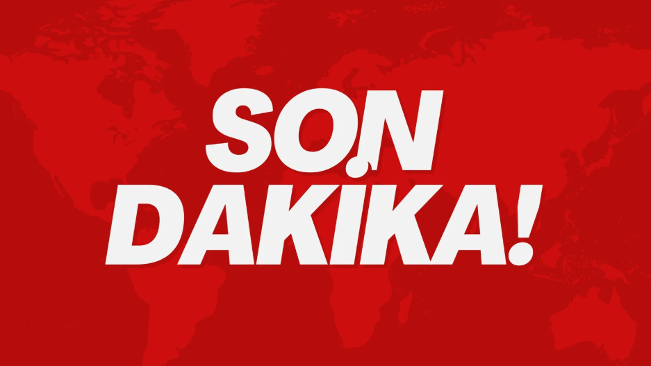 Ezine Üvecik Köyü'nde yangın