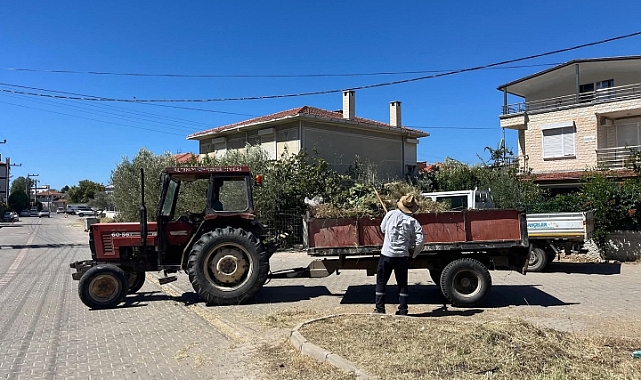 Ayvalık’ta Yeşil Dönüşüm Devam Ediyor: Emeğin Gücüyle Şehir Güzelleşiyor