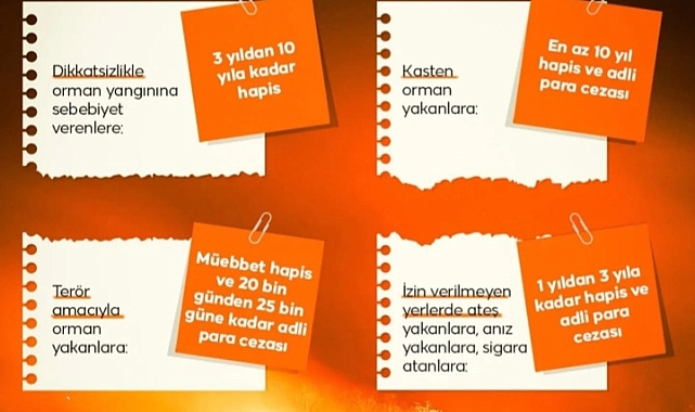 Bayramiç Orman İşletmesi Uyardı: Yangınların Bedeli Ağır!
