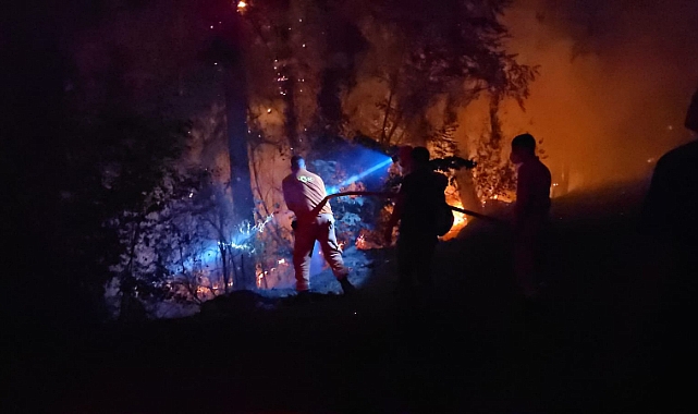 Çanakkale Alarmda! Yüksek Yangın Riski İçin Valilikten Kritik Uyarı