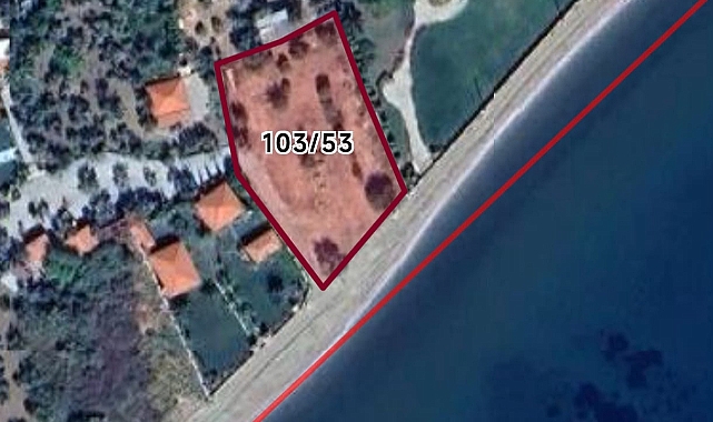 Çanakkale Ayvacık’ta Vakıf Zeytinliği Gayrimenkul Karşılığı Trampa ile Devredilecek!