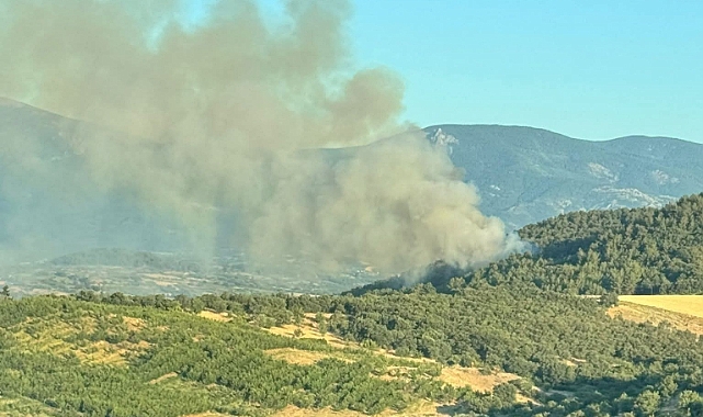 Çanakkale’de Orman Yangını Uyarısı: 2 Günlük Kritik Dönem Başlıyor!