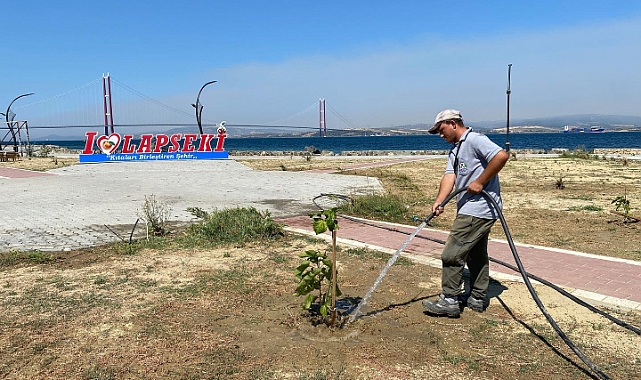 Lapseki'de yoğun çalışma