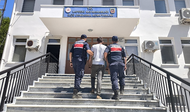 Lapseki Dişbudak Köyü’nde Orman Yangını Korkuttu: 5 Hektarlık Alan Zarar Gördü