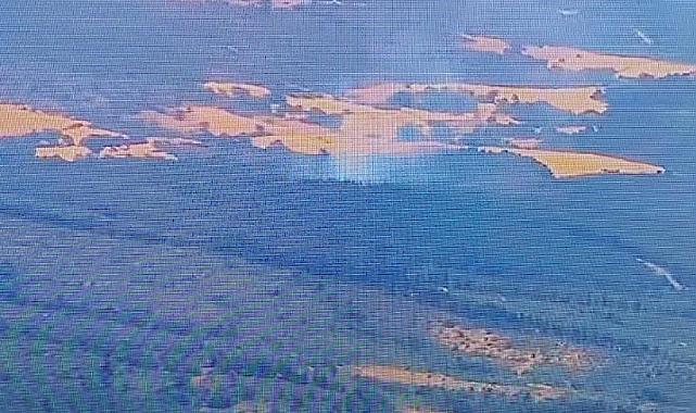 Lapseki Dişbudak Köyü'ndeki orman yangını kontrol altına alındı