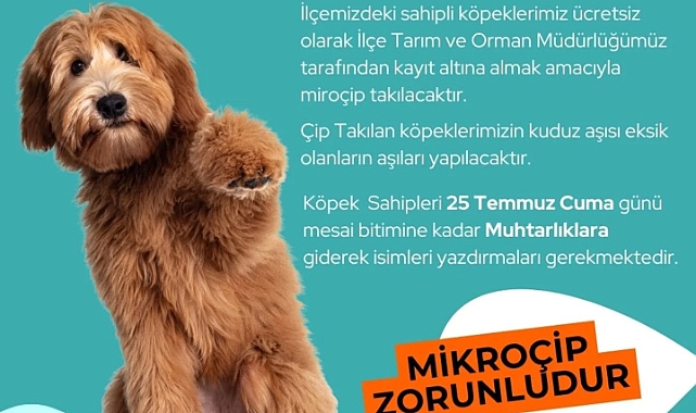 Yenice’de sahipli köpeklere ücretsiz mikroçip uygulaması başlıyor