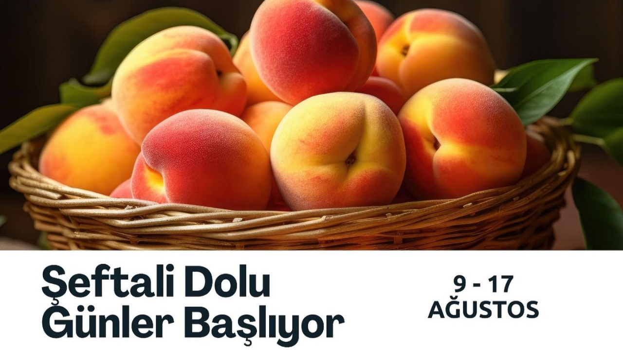 Lapseki’de Şeftali Festivali başlıyor