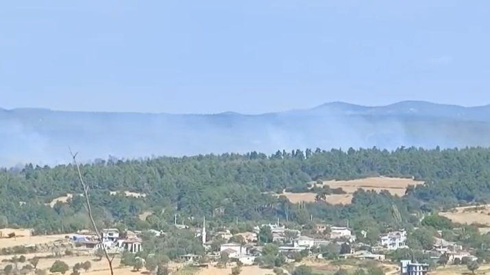 Gelibolu'da yangın kontrol altına alındı